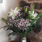 A Quinta Maceiras 4*