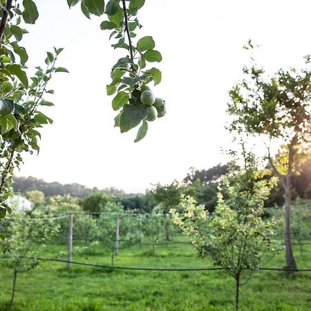 Gasthof A Quinta Maceiras 4*