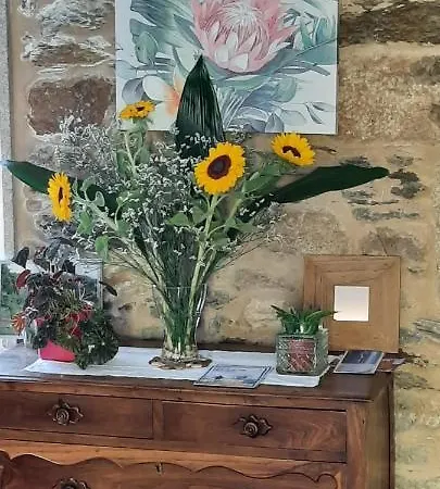 A Quinta Maceiras 4* Os Casares