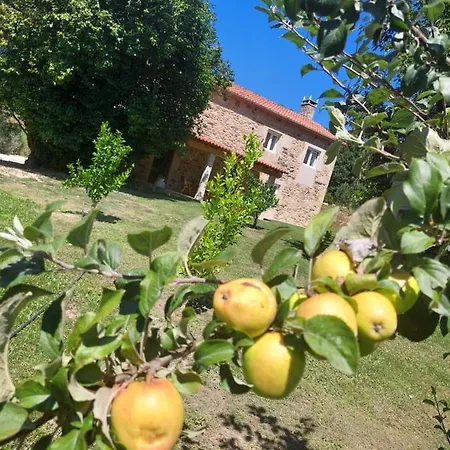 Pensionat A Quinta Maceiras