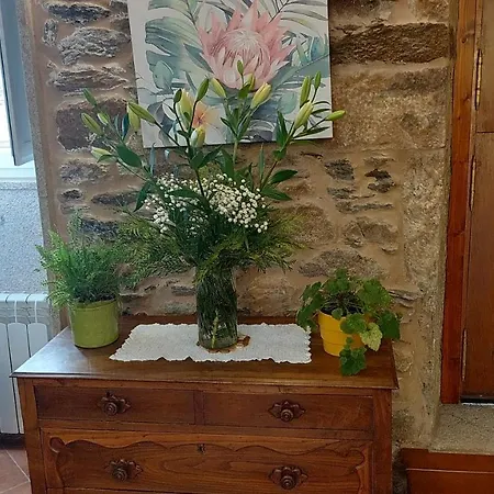 A Quinta Maceiras Os Casares