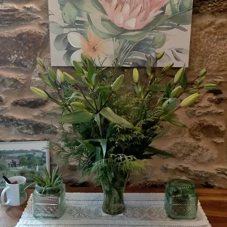 A Quinta Maceiras 4* Os Casares