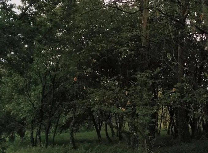 Pensjonat A Quinta Maceiras