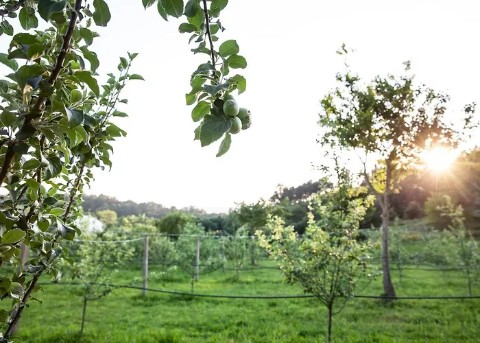 Pensjonat A Quinta Maceiras 4*