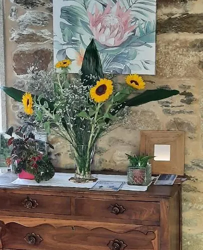 A Quinta Maceiras 4* Os Casares