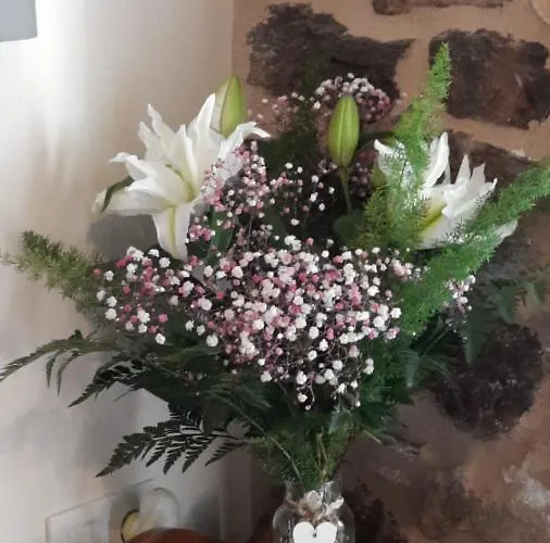 A Quinta Maceiras 4*