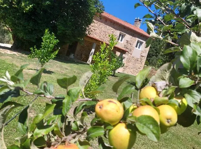 Gasthuis A Quinta Maceiras