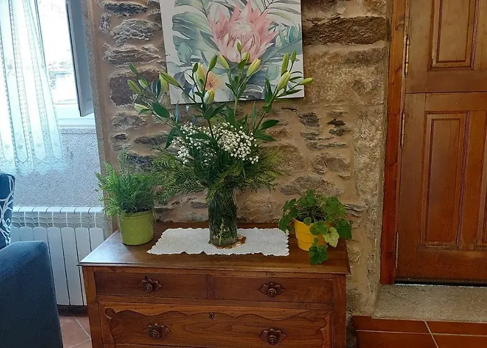 A Quinta Maceiras Os Casares