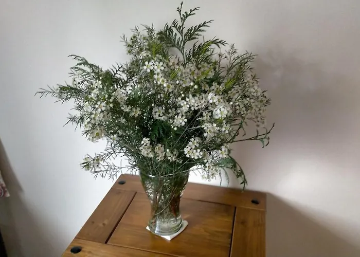 A Quinta Maceiras 4*