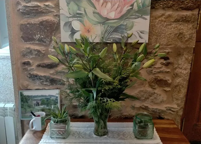 A Quinta Maceiras 4* Os Casares