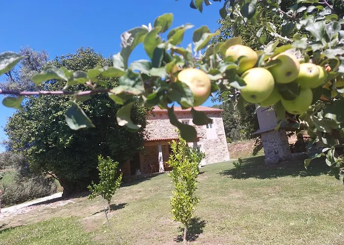 A Quinta Maceiras Gasthuis 4*