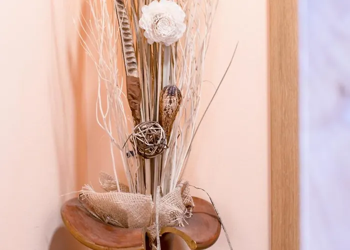 A Quinta Maceiras Os Casares